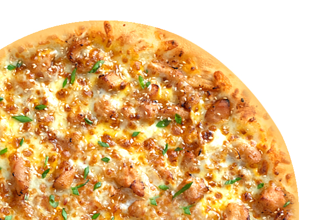 Honey Garlic Chicken